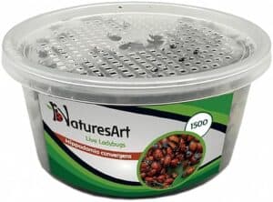 Best Off-Grid Pest Control Solutions for 2025